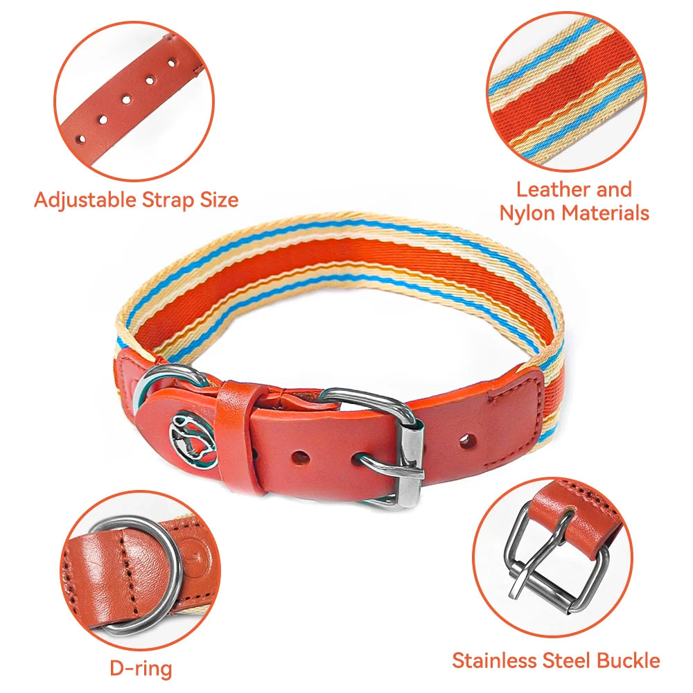 Adjustable Collar and Leash Set for Small, Medium