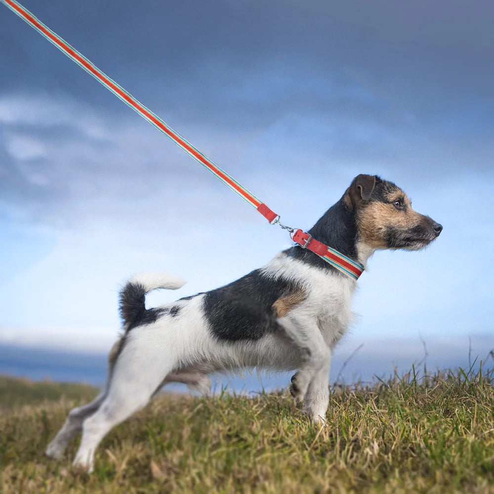 Adjustable Collar and Leash Set for Small, Medium
