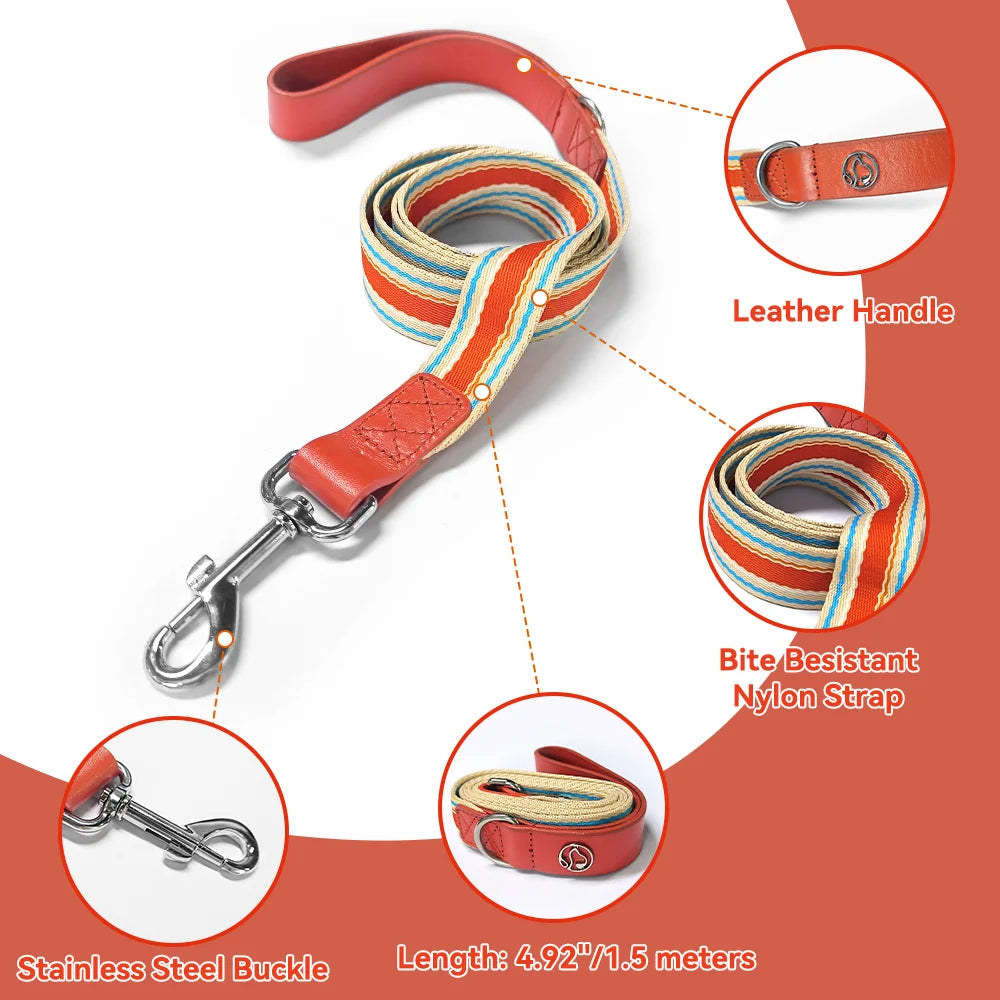 Adjustable Collar and Leash Set for Small, Medium