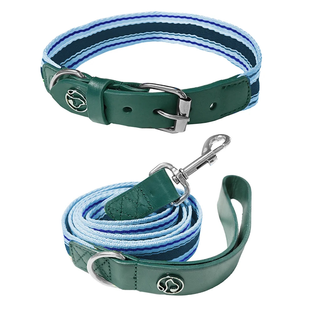 Adjustable Collar and Leash Set for Small, Medium