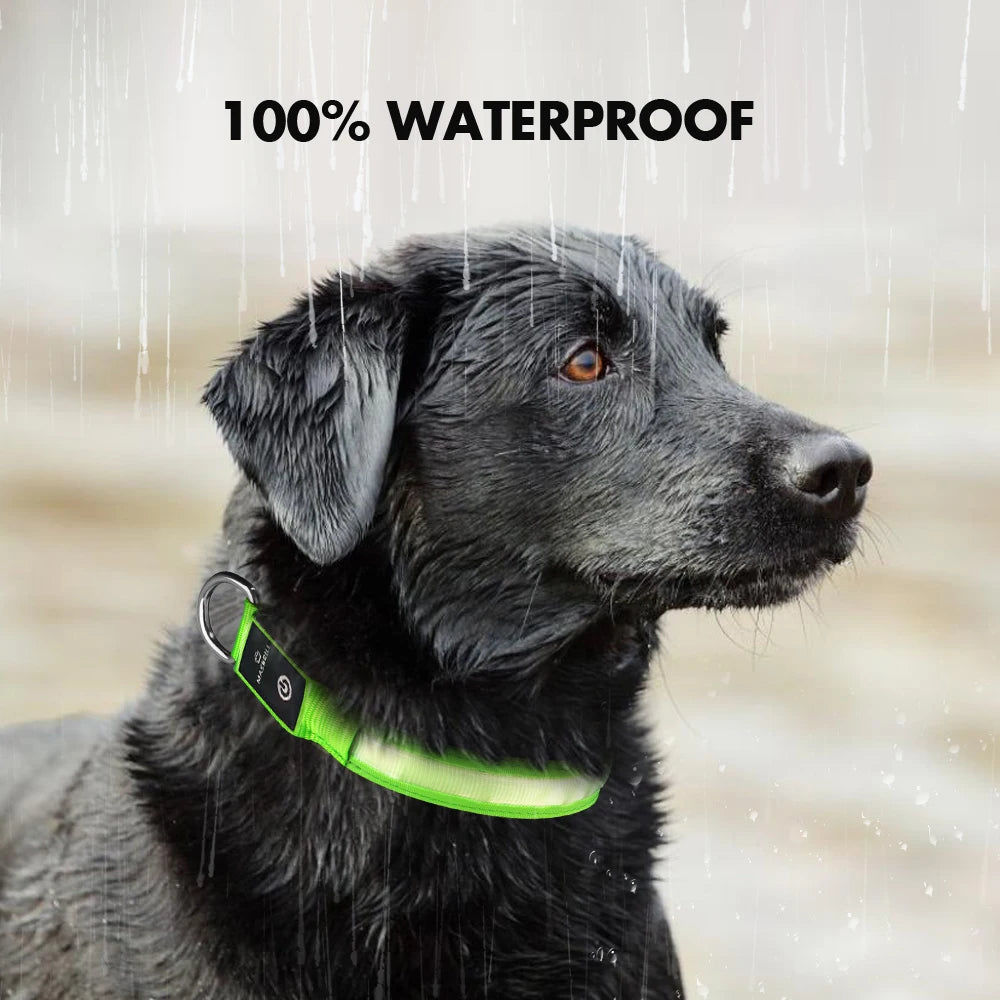 Adjustable Tactical Dog Collar