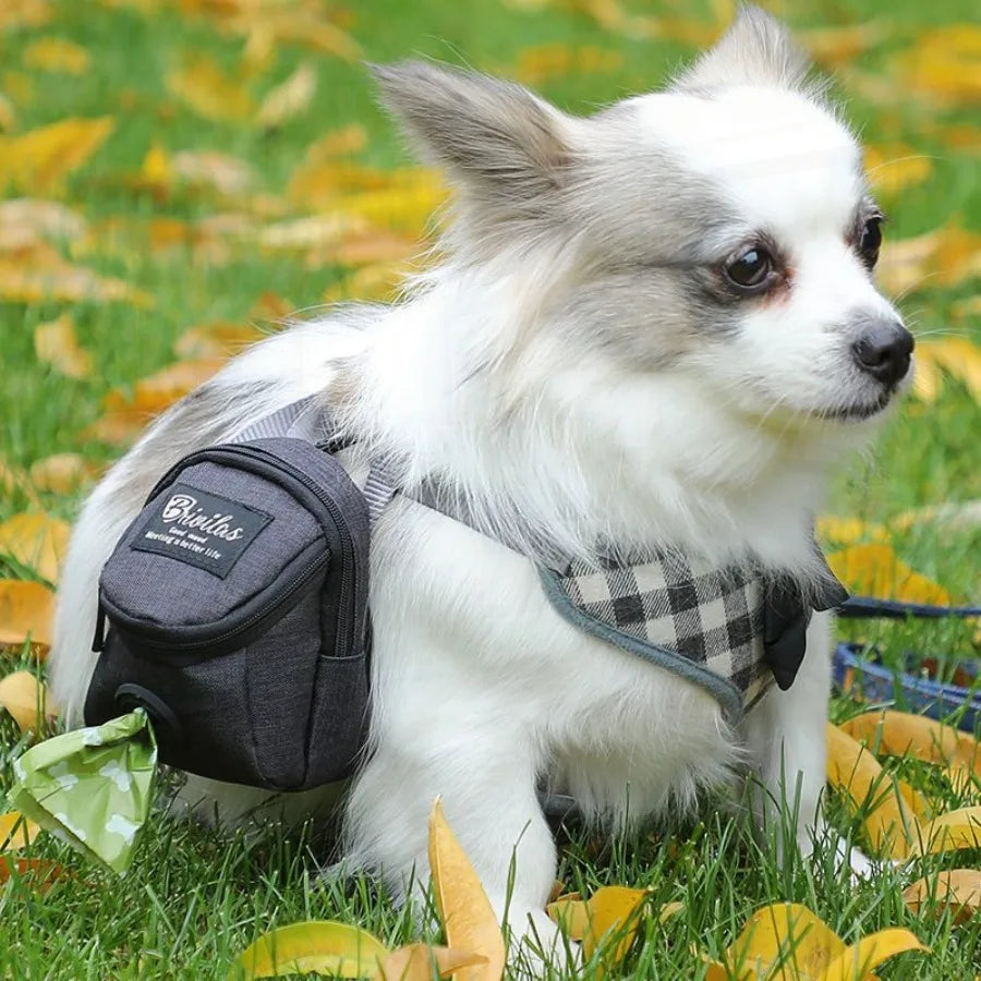Portable Multi-function Dog training bag