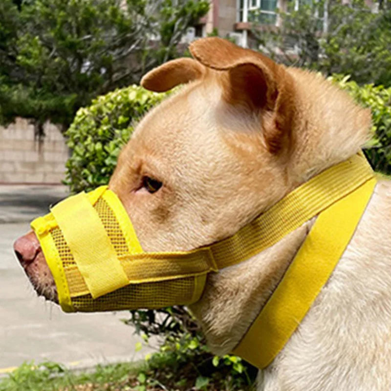 Anti-Detachment Dog Leash Muzzle