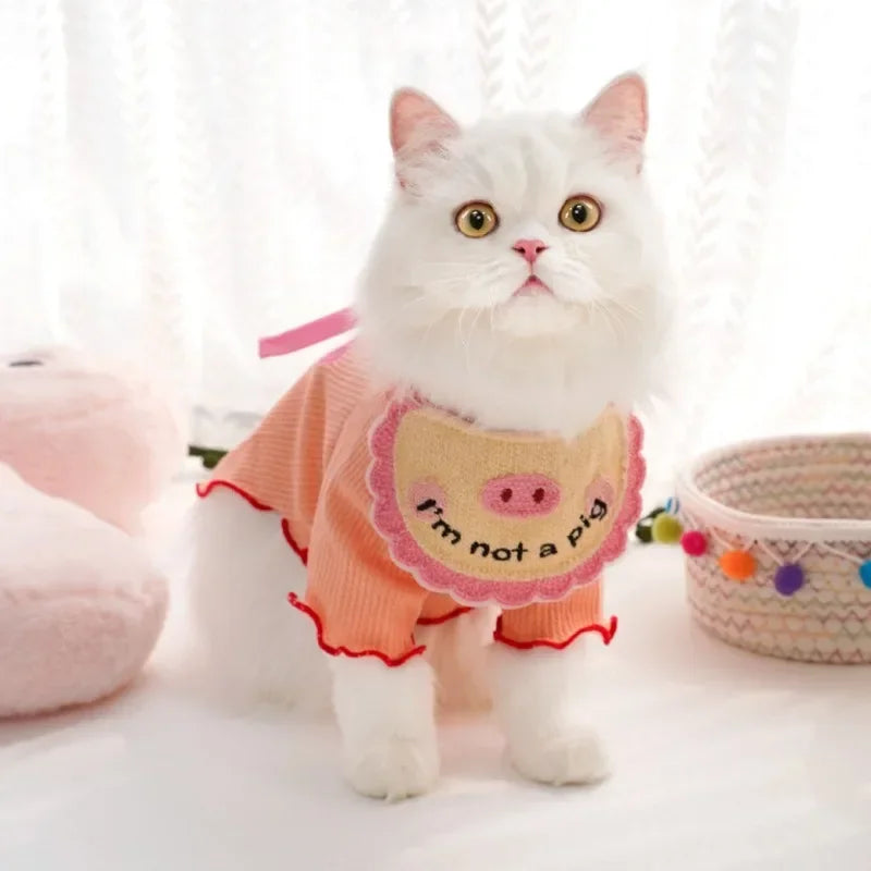 Pet Neck Elastic Spill Protector
elastic lace decoration