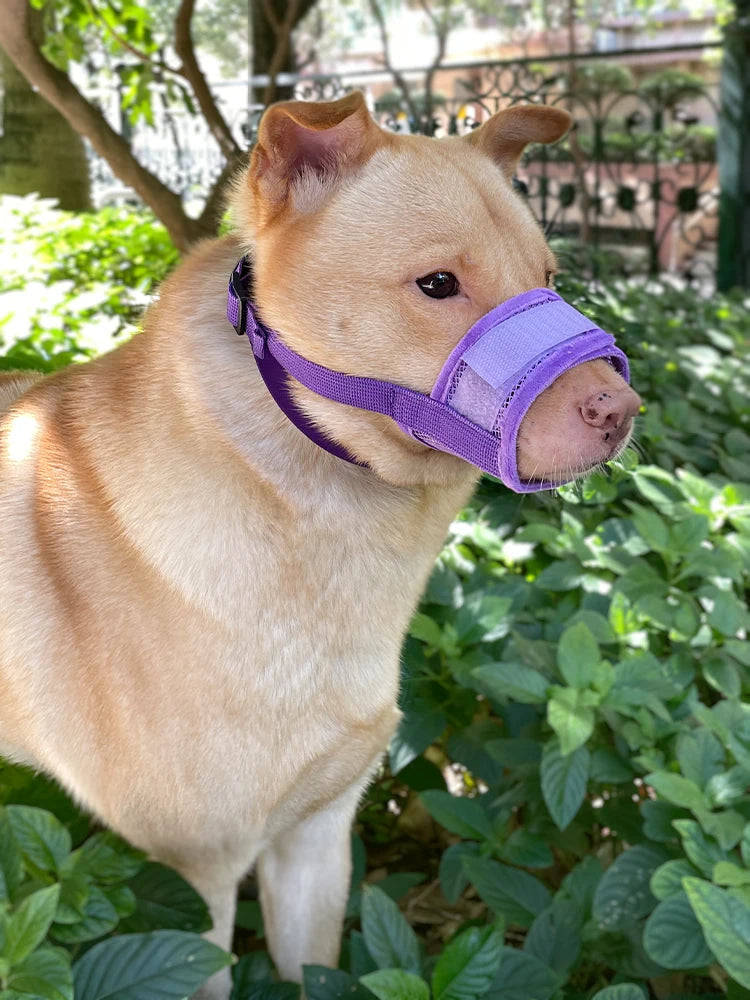 Anti-Detachment Dog Leash Muzzle