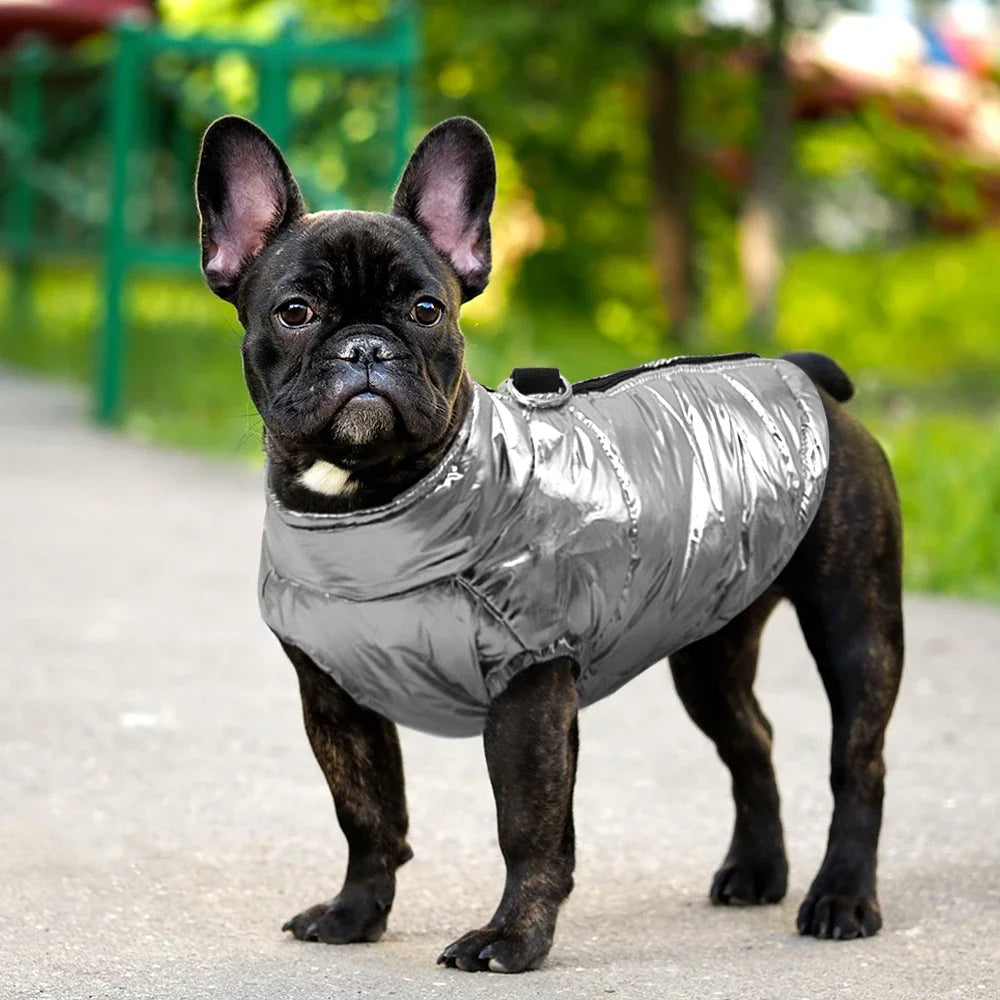 Small Dogs Waterproof Winter Warm Vest