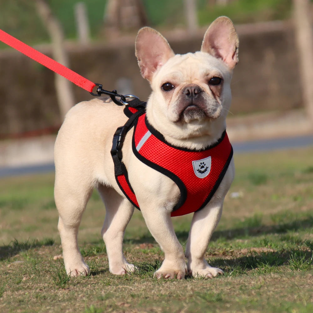 Adjustable Washable Pet Harness