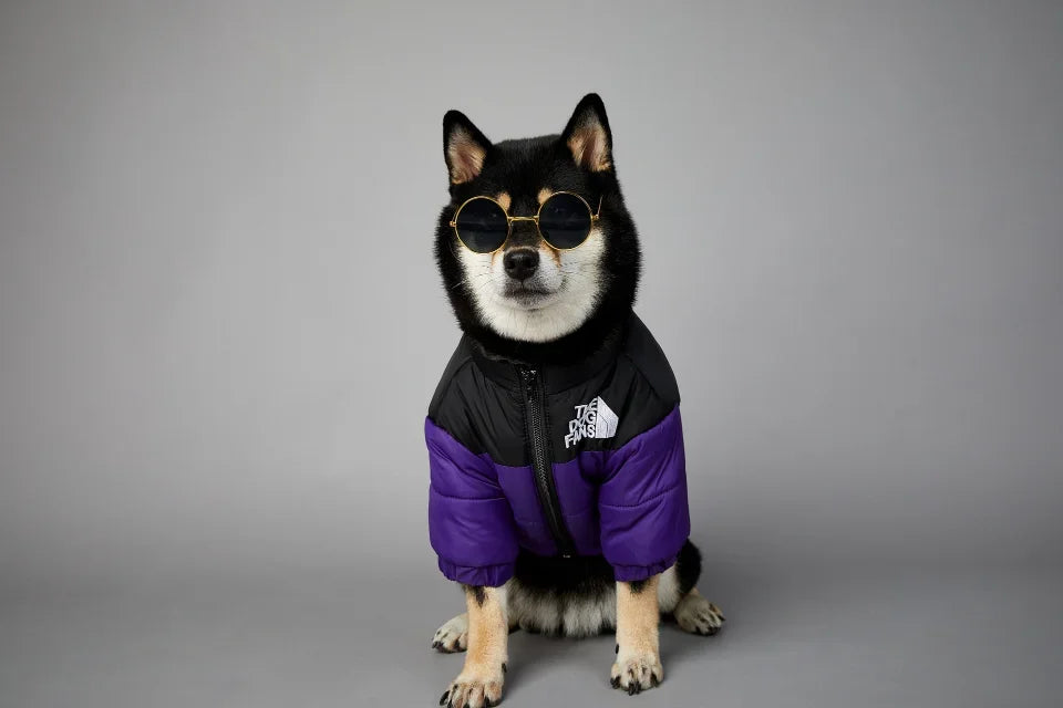Dog Winter Jacket for Small and Medium
