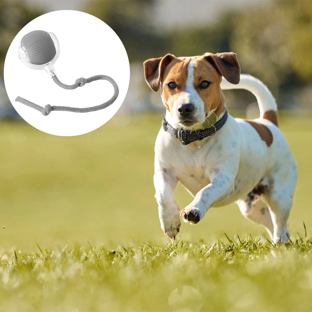 Cat or Dog Interactive Automatic Ball Toys