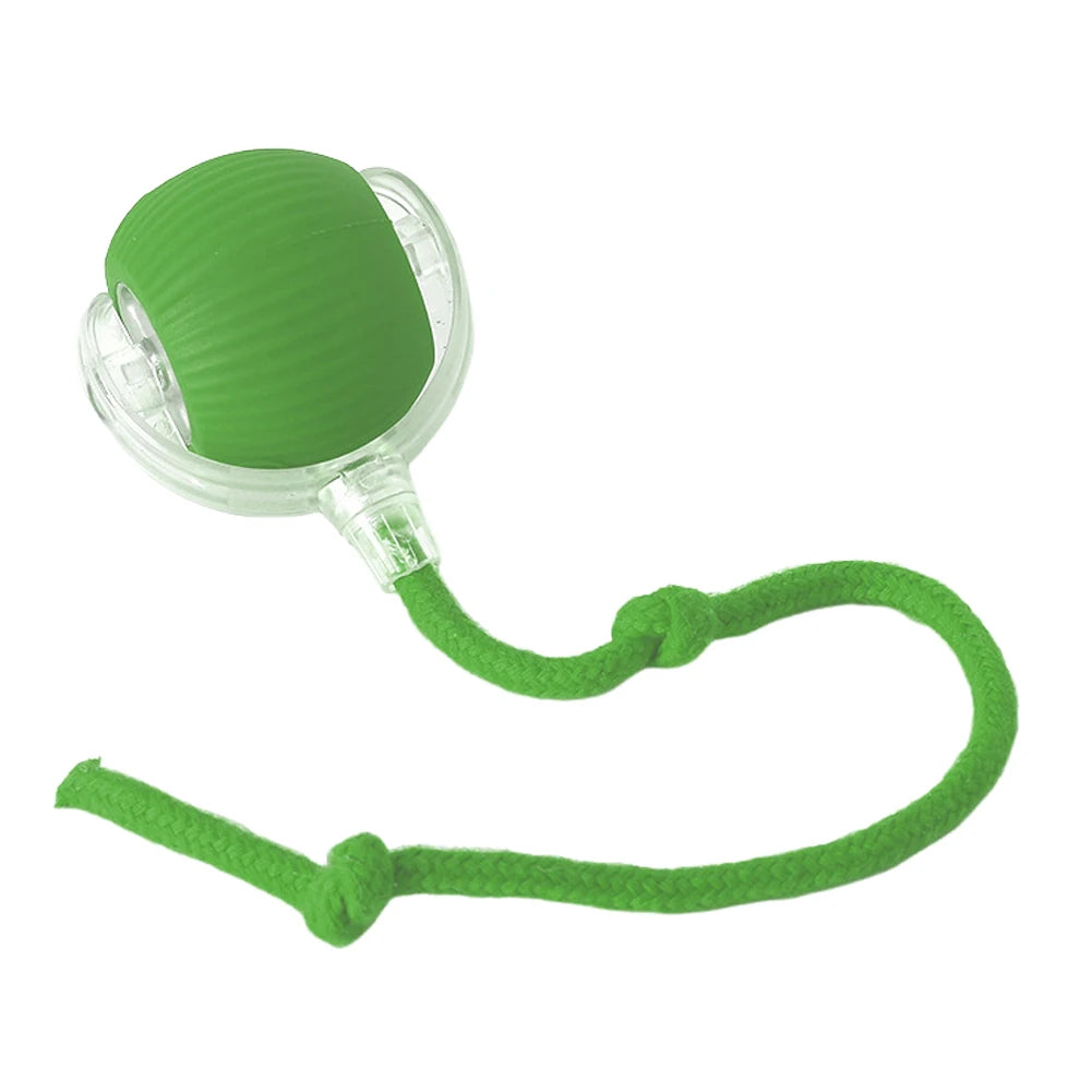 Cat or Dog Interactive Automatic Ball Toys