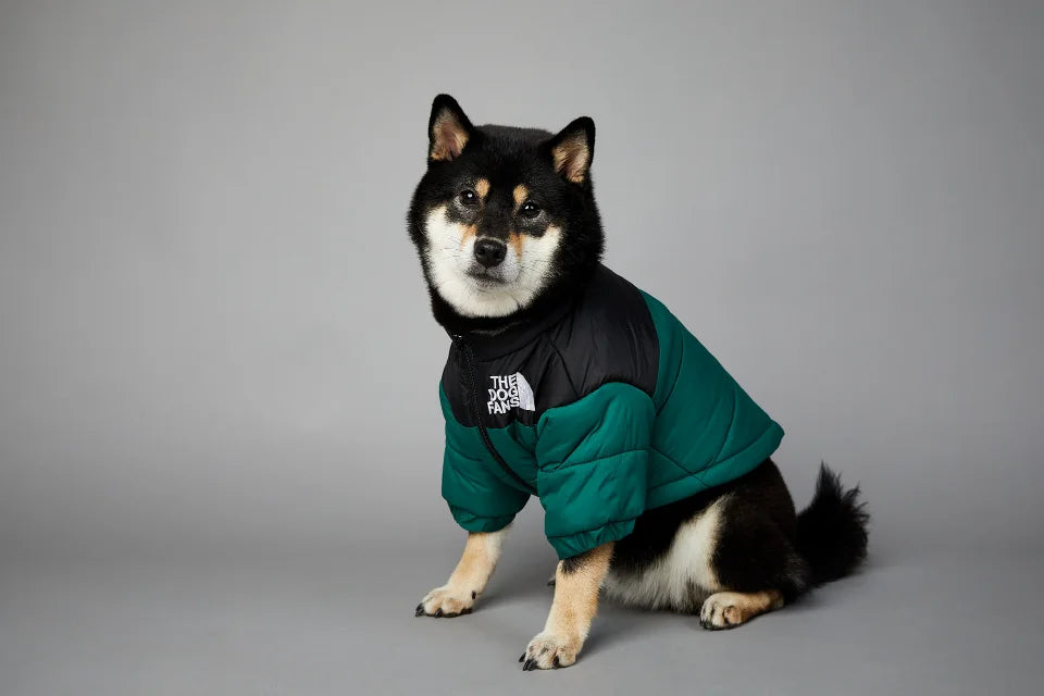 Dog Winter Jacket for Small and Medium