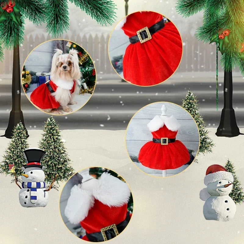 Dog Christmas Coat and Red Dress