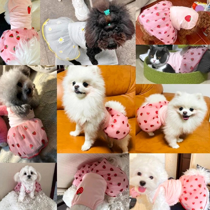 Cute Puppy Summer Princess Dress