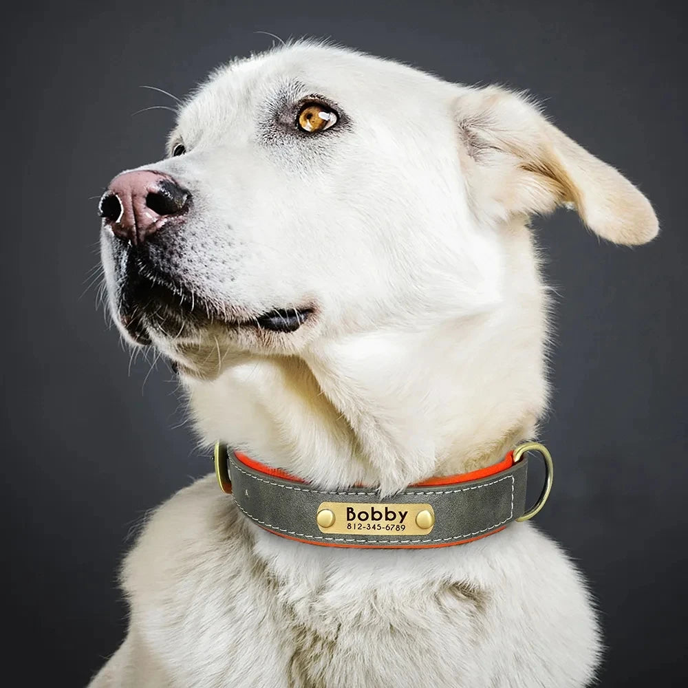 Customized Leather ID Nameplate Dog Collar Adjustable Soft Padded Dogs Collars Free Engraving Name for Small Medium Large Dogs