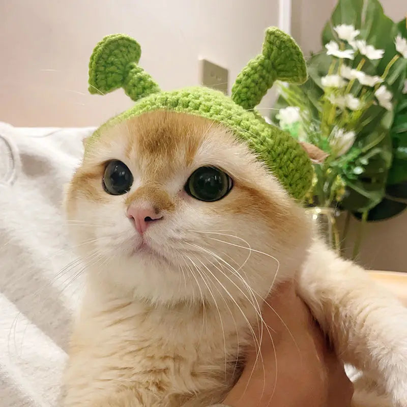 Cute Refined Cat Hat Elastic Autumn Winter Decoration