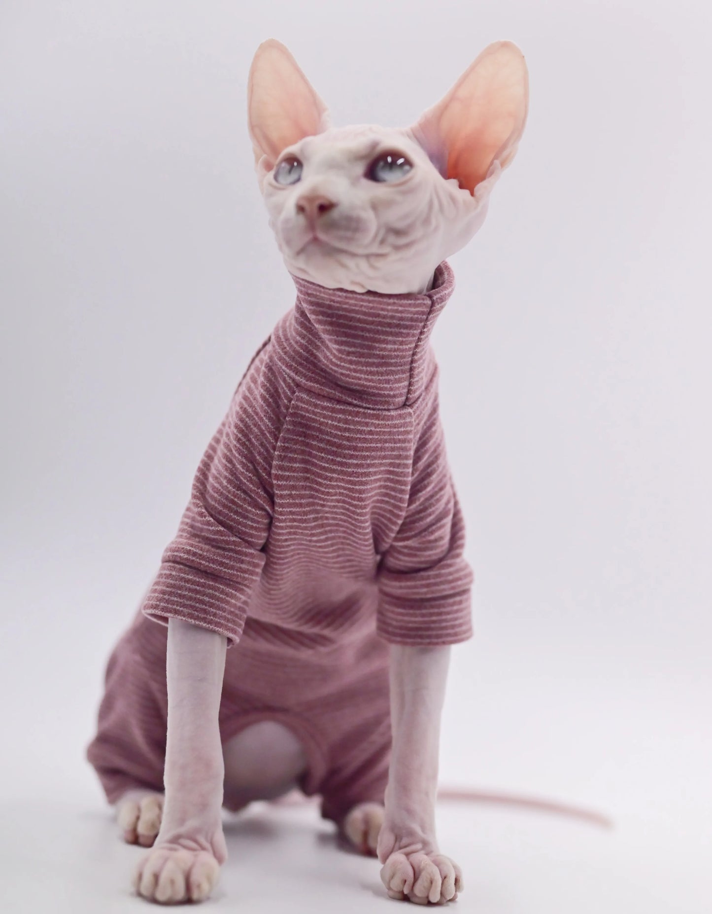 Hairless Cat Warm Clothes