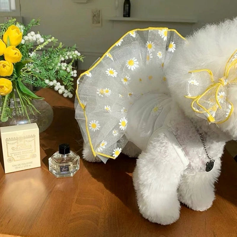 Cute Puppy Summer Princess Dress