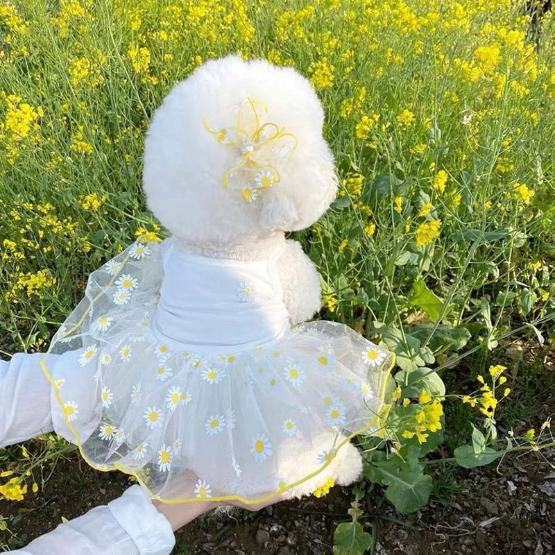 Cute Puppy Summer Princess Dress