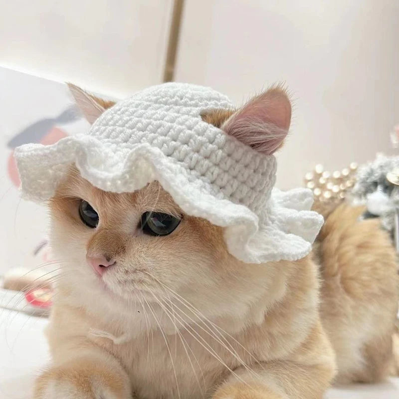Cute Refined Cat Hat Elastic Autumn Winter Decoration