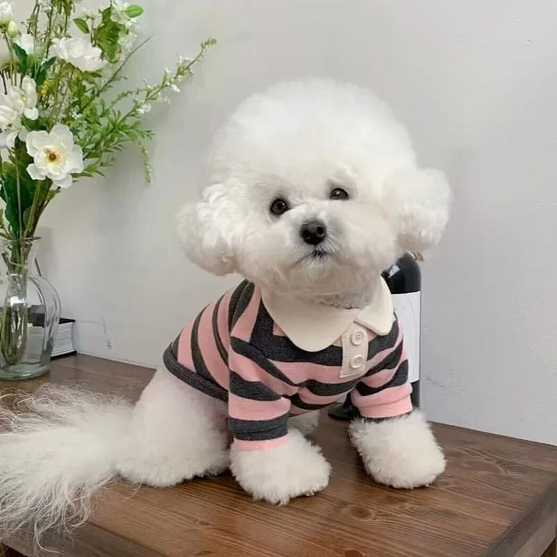 Striped Pet T-Shirt Pullover Suit