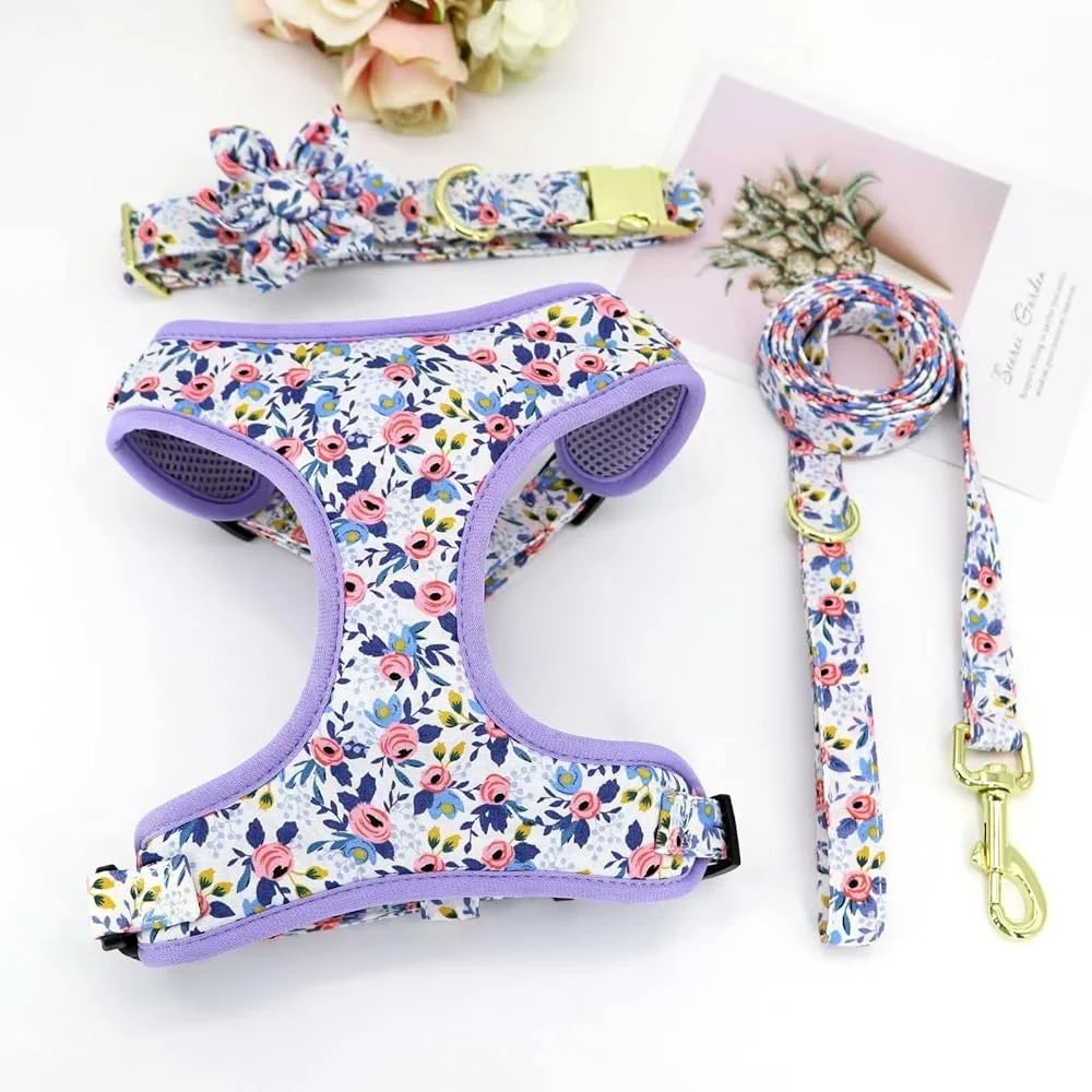 Dog Harness, Leash and Collar Set