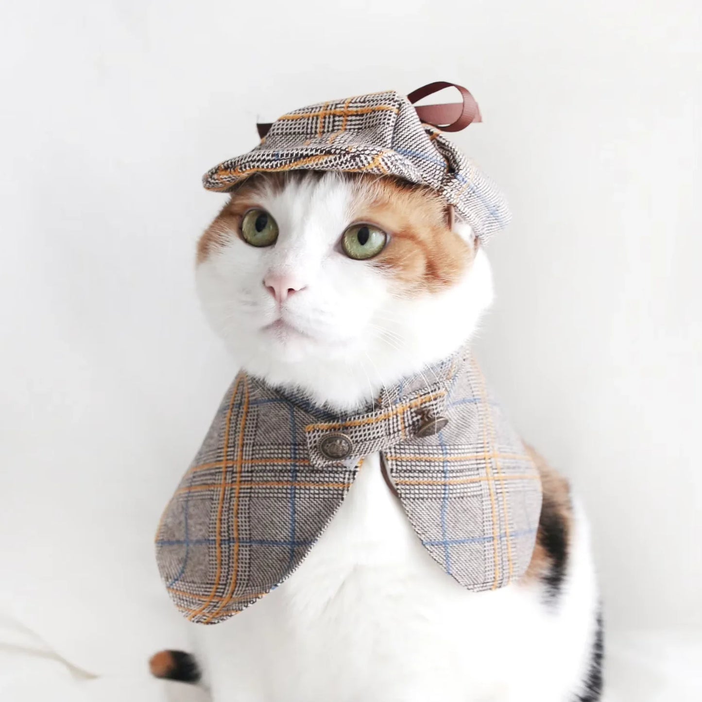 Cat and Dog Detective Costume Scottish Outfit