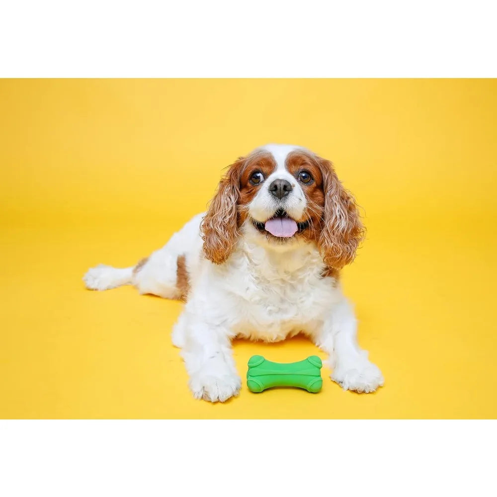 Dog Soft Play Bone Toy Assorted Colors