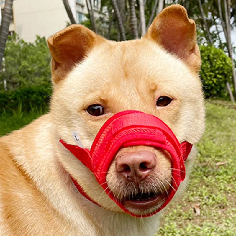 Anti-Detachment Dog Leash Muzzle