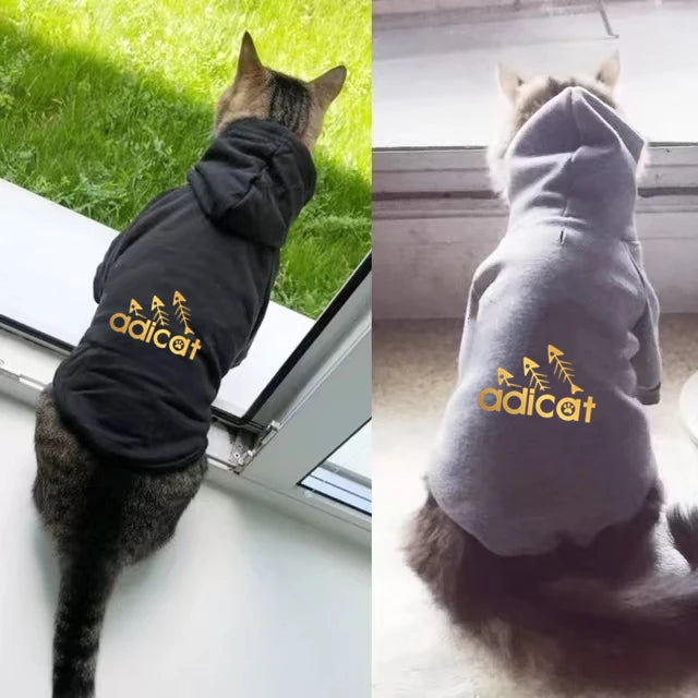 Kittie golden letter printed hoodies