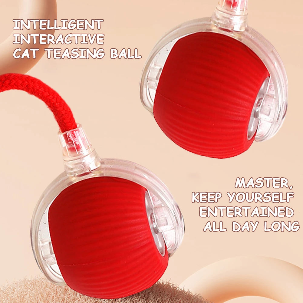 Cat or Dog Interactive Automatic Ball Toys