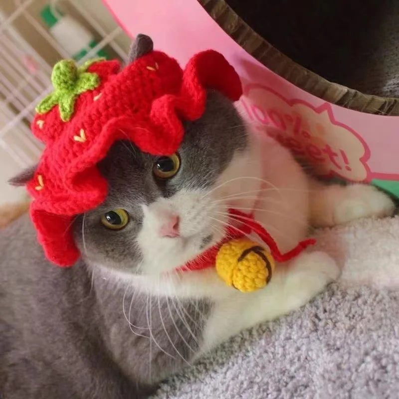 Cute Refined Cat Hat Elastic Autumn Winter Decoration