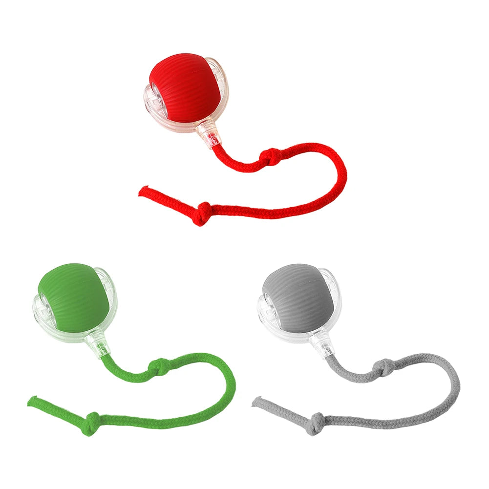 Cat or Dog Interactive Automatic Ball Toys