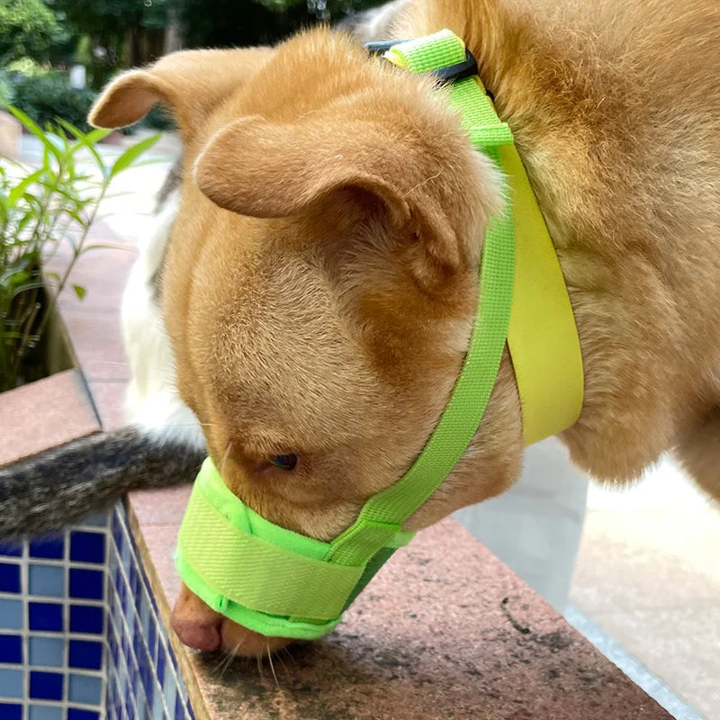 Anti-Detachment Dog Leash Muzzle