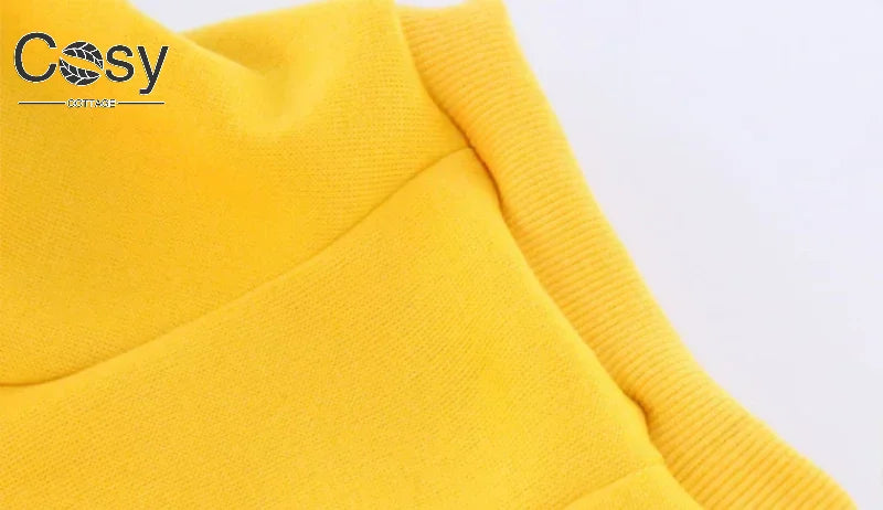 Padded Thickened Solid color Dog Sweatshirt