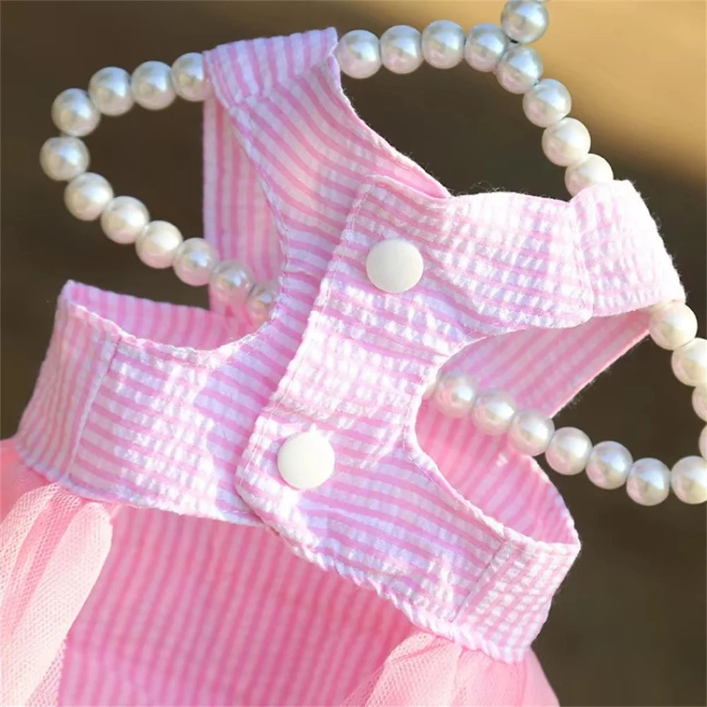 Puppy Lace Summer skirt Dress