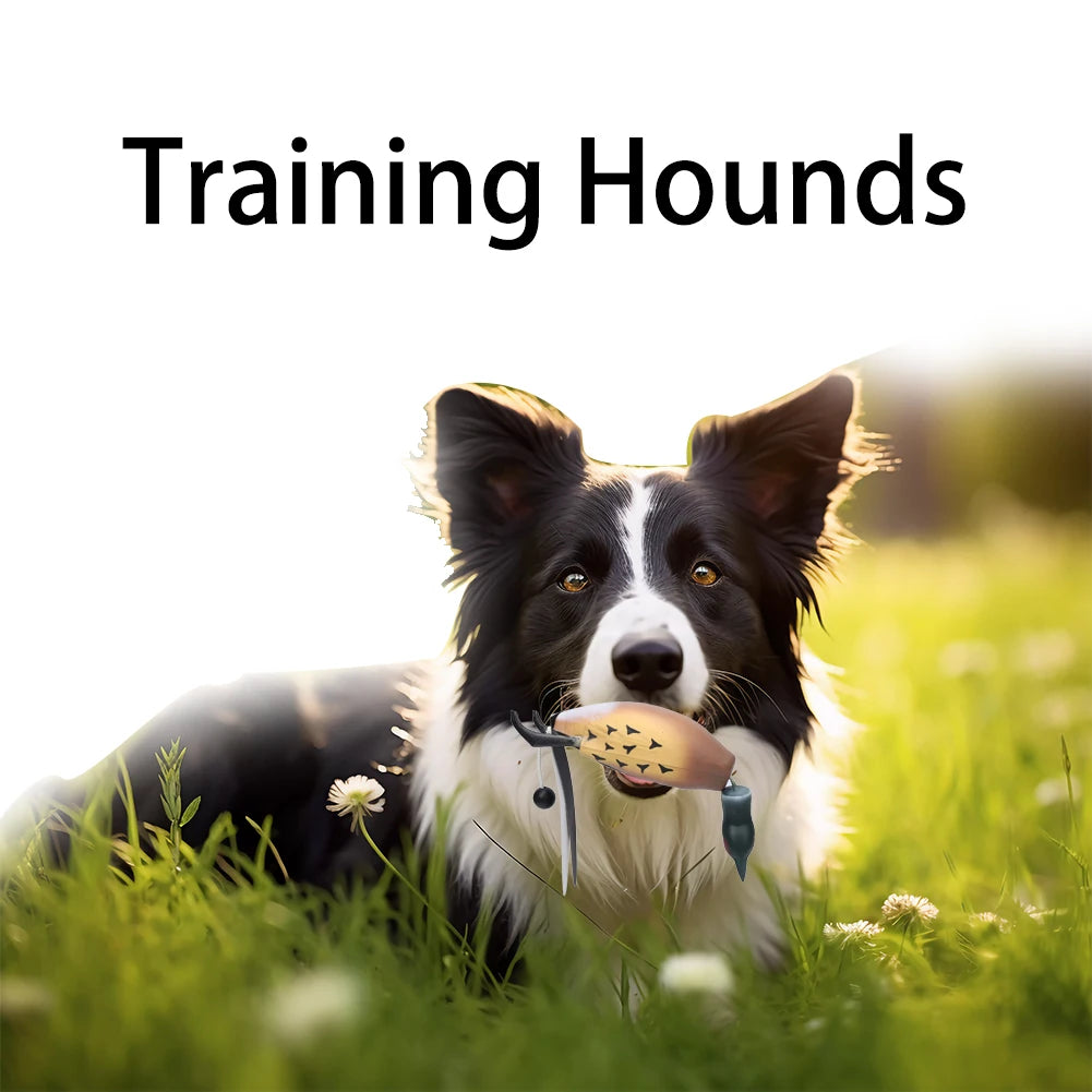 Toy for Hunting Retriever Dog Training