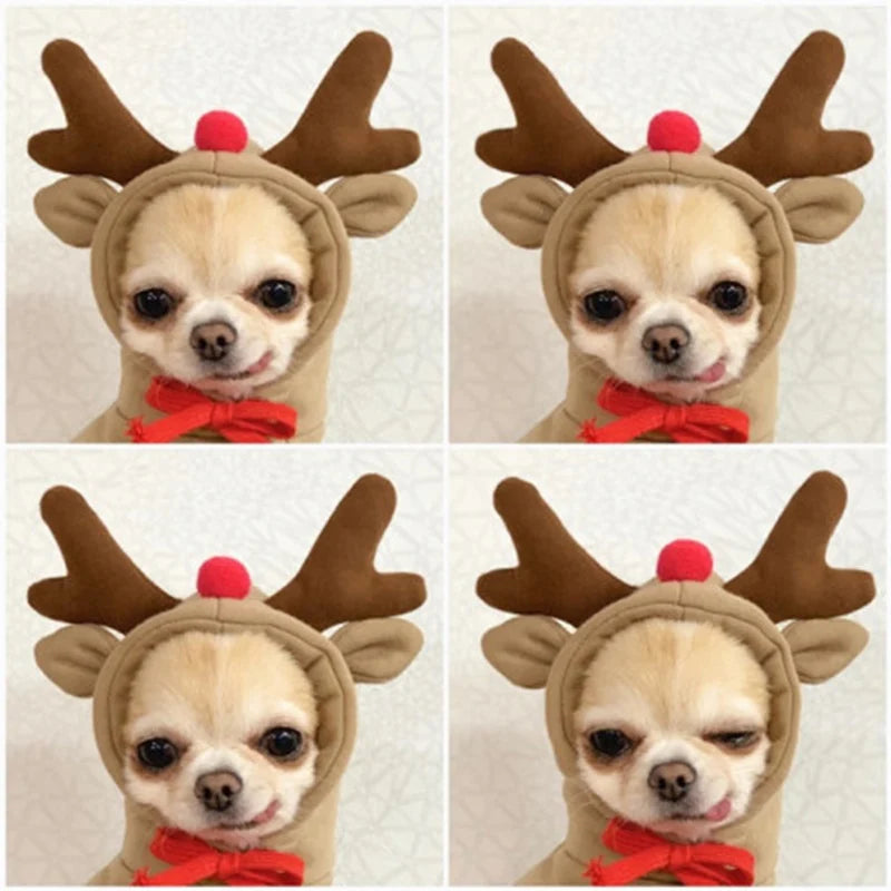 Winter Pet Hoodie Sweater Costume Washable