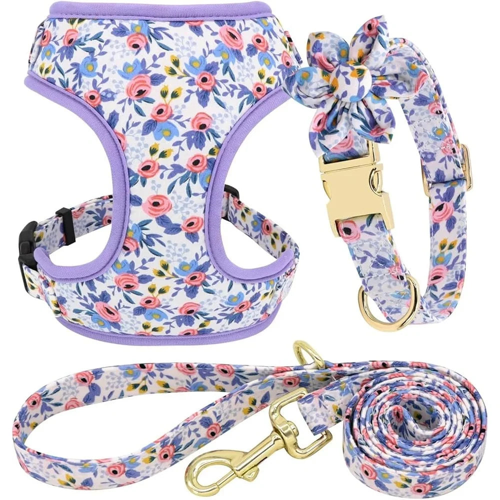 Dog Harness, Leash and Collar Set