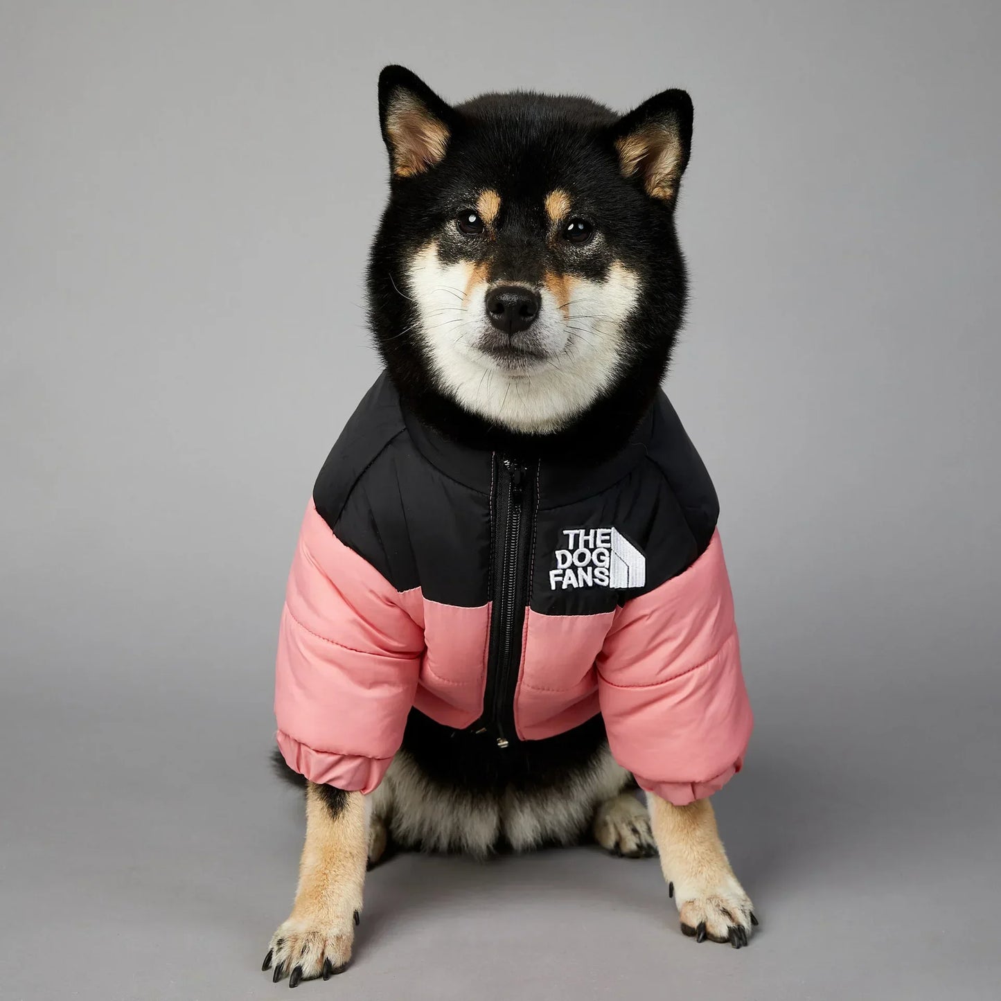 Dog Winter Jacket for Small and Medium