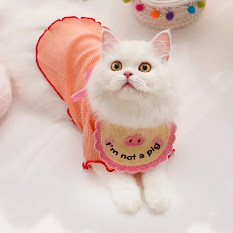 Pet Neck Elastic Spill Protector
elastic lace decoration