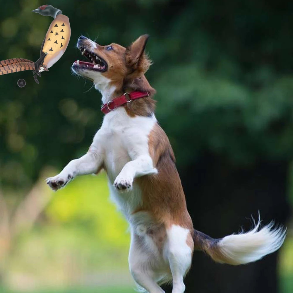 Toy for Hunting Retriever Dog Training