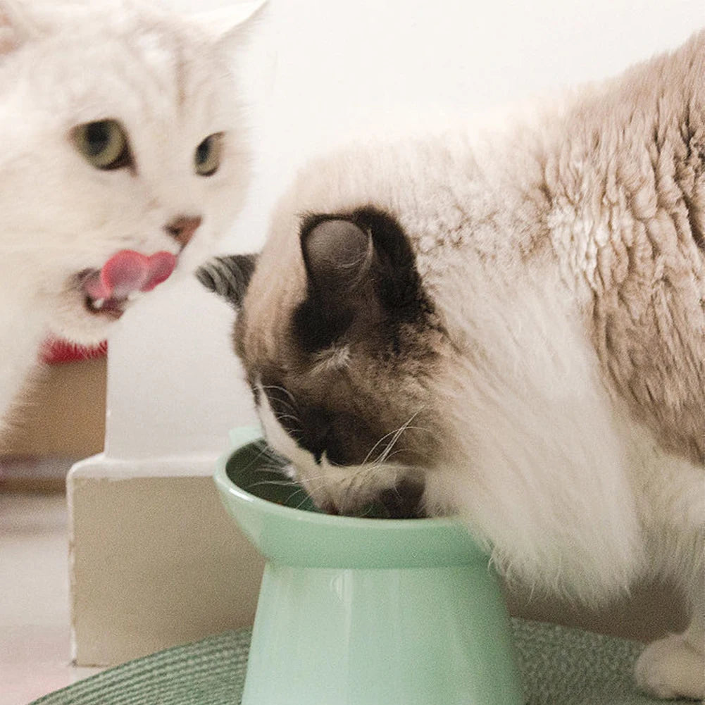 Tilted Cat Food Bowl