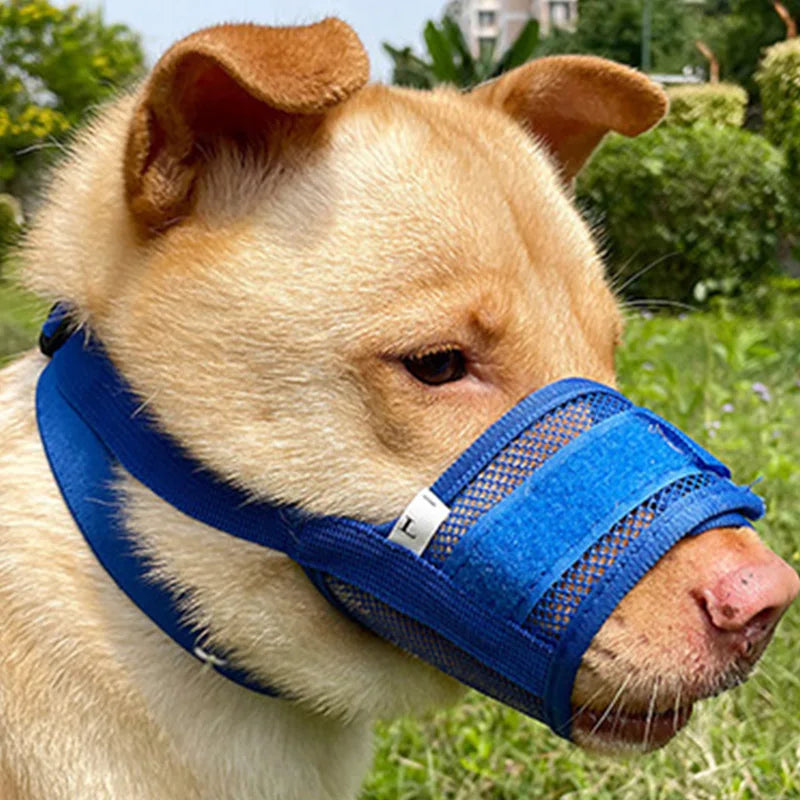 Anti-Detachment Dog Leash Muzzle