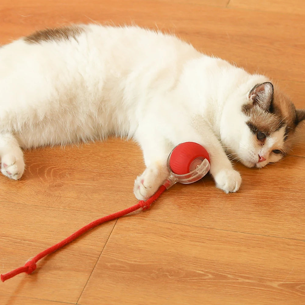 Cat or Dog Interactive Automatic Ball Toys