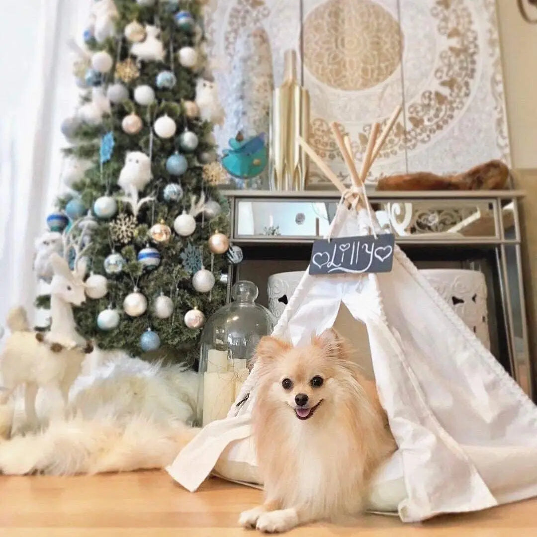 Teepee for Puppy, Cat Indoor ,Outdoor function