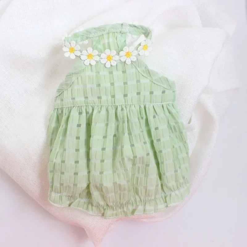 Pet Daisy Dress Clothing