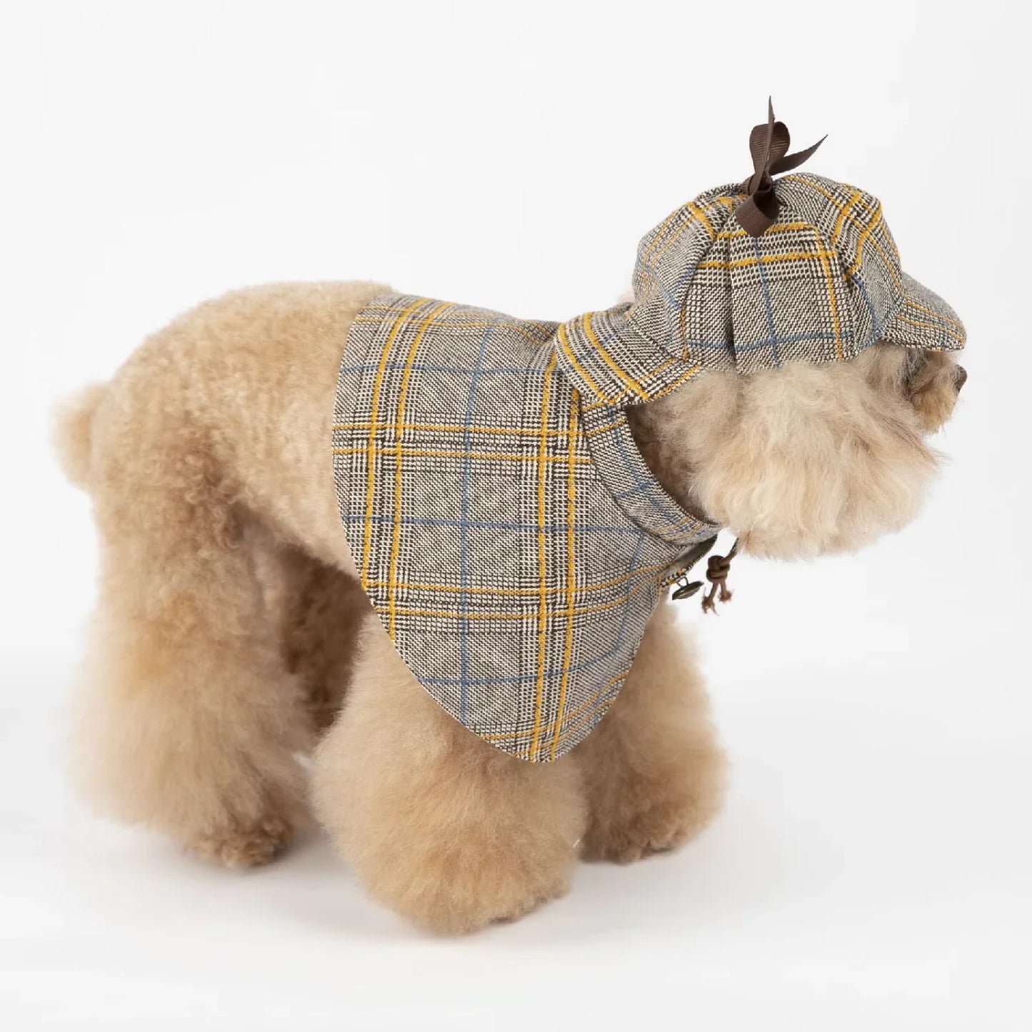 Cat and Dog Detective Costume Scottish Outfit