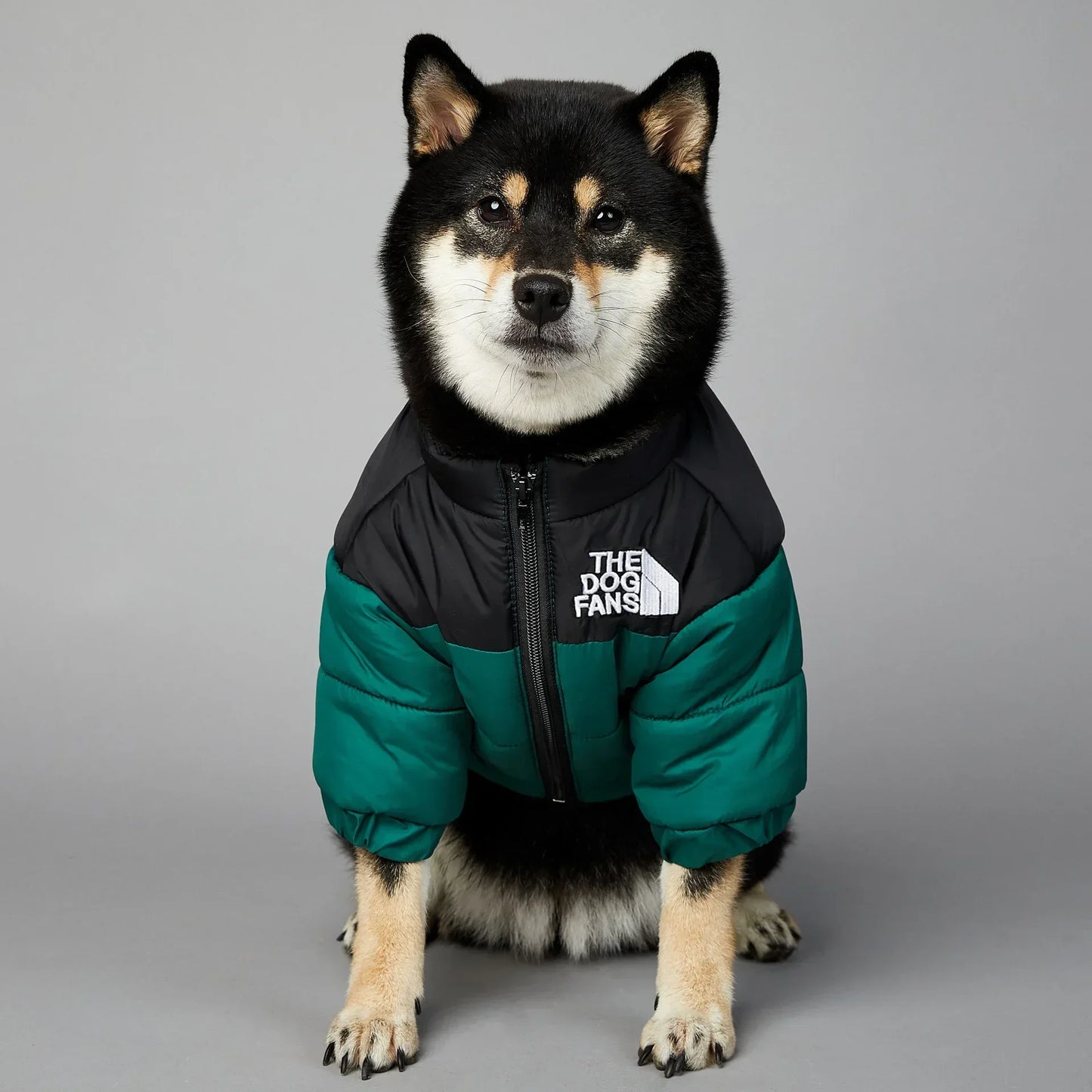 Dog Winter Jacket for Small and Medium