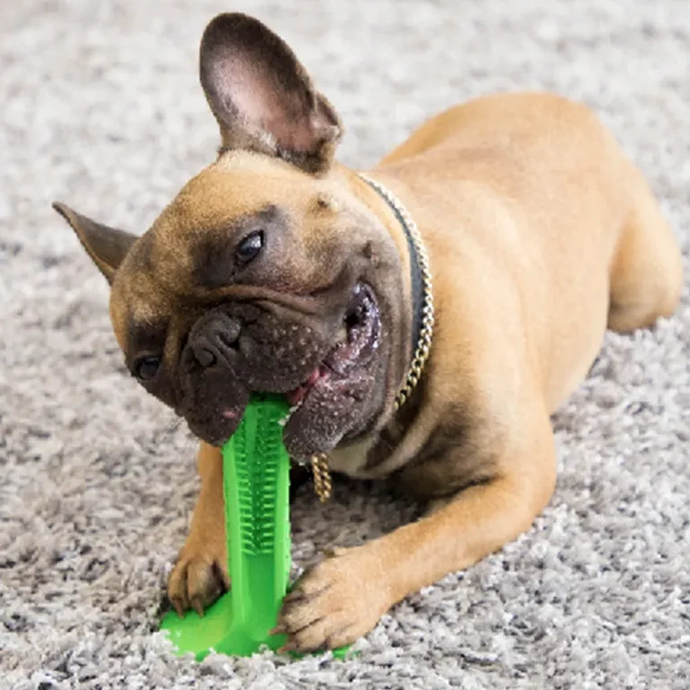 Dog Silicone Chewable Teeth Toothbrush