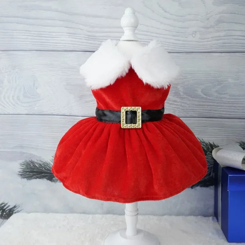 Dog Christmas Coat and Red Dress